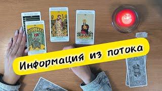 Таро для мужчин ИНФОРМАЦИЯ ИЗ ПОТОКА⁉️таро онлайн гадание #таро #расклад
