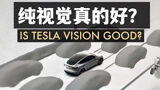 為什麼說特斯拉純視覺很好但也很危險？Is Tesla vision really good?