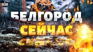 Белгород прямо сейчас! Взрывы в прямом эфире. Весь город в огне: откровения жителя