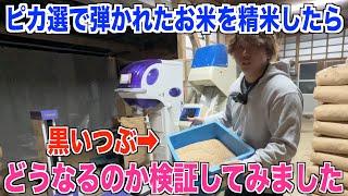 【ピカ選導入】色選で弾かれたお米を精米したらどうなるのか検証しました 30代米作り奮闘記#303