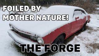The Forge | Foiled By Mother Nature | Wet Coast Fab