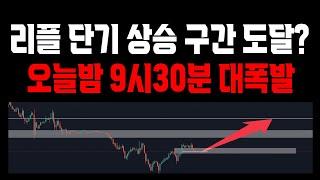 리플 단기 폭등 구간 ? 오늘밤 9시30분 집중 비트코인 헤데라 리플