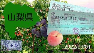 原來4000日幣內就可以到山梨縣水果園吃水果?! How to visit fruit park in Yamanashi within 4000yen 【廣東旅行 EP1】（山梨縣）