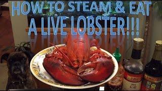 How To Steam & Eat A Live Lobster