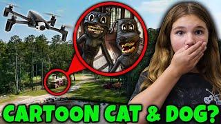 Drone Catches Cartoon Cat and Dog!