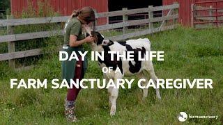 Day in the Life of a Farm Sanctuary Caregiver: Watkins Glen