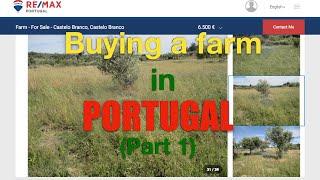 Journey to Buying a FARM in PORTUGAL (Part 1)