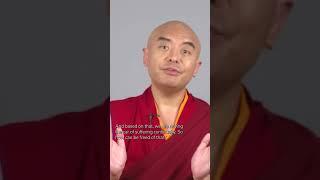 How to free yourself from craving - with Mingyur Rinpoche