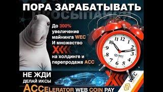 Презентация WEB TOKEN PROFIT Как заработать на ТРЕНДАХ БИГ ИДЕЯ сообщества Web Token Profit