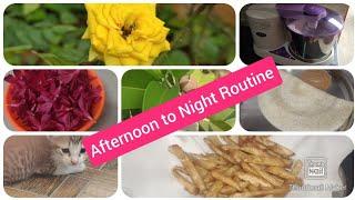 Afternoon to Night Routine vlog | in Tamil new | Make in Homestyle