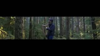 Harpist in the Trees - Josh Layne (Music Monday)