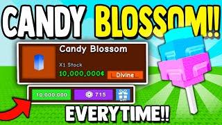 How to Get CANDY BLOSSOM!! | Grow a Garden ROBLOX