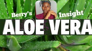 Unlock the Power of Aloe Vera: Benefits, Uses, and Secrets Revealed