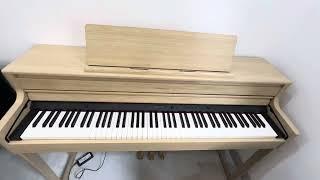 Đàn piano điện Nhật Bản cao cấp tại Piano Hà Nội