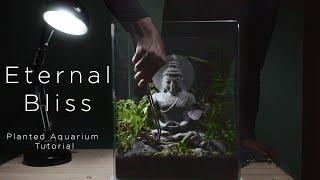 Eternal Bliss ( Buddha ) - Planted Nano Aquarium step by step tutorial