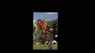 Disco Discs A set of Silk Art Dance Flags