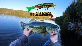 MS Slammer Swimbait Catches GIANT Bass!