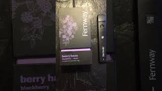 Fernway THC Two Gram Pod Disposable Berry Haze Breath