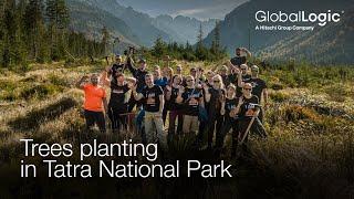 Trees planting in Tatra National Park - GlobalLogic Poland & Slovakia #CSR