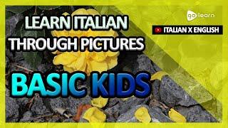 Learn Italian Through Pictures |Italian Vocabulary Basic Kids | Golearn