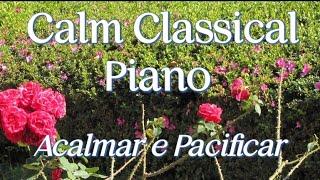 Calm Classical Piano | Calm and Pacify