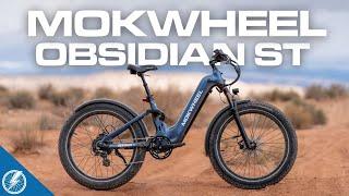 Mokwheel Obsidian ST Review | All-Terrain Accessibility