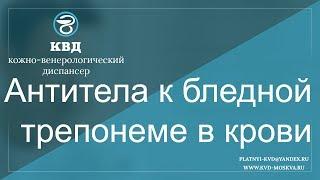 161  Антитела к бледной трепонеме в крови