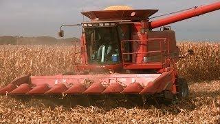 Johnson Family Farm - Case IH 2366 Combine on 10-28-2013