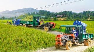 Use Truck To Transport Rice Threshing Machine - Transport Many Heavy Bags Of Rice To Villagers