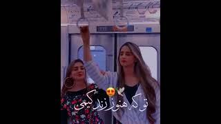 ای رفیق قدیمی 