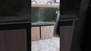 مكاني بغداد الحسينيه متوفر خدمه توصيل رصافه ٥الف الكرخ ٨الف ٠٧٨٣٢٠٢٠٩١٧واتساب الحجز اتصل بالجريخي