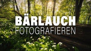 Endlich wieder Bärlauch fotografieren | Landschaftsfotografie