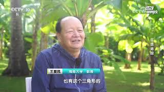 《透视新科技》 20241229 巨斑追踪 | CCTV科教