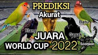 Prediksi juara Piala Dunia 2022 || Prediksi versi hewan