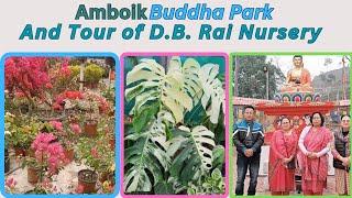 Tour of Amboik Buddha Park And Tour of D.B. Rai Nursery | @DKT Vlogs7