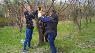 Еко квест Зороківський козацький ліцей