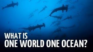 What is One World One Ocean?