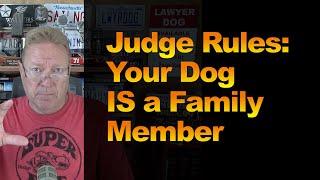Judge Rules: Your Dog IS a Family Member