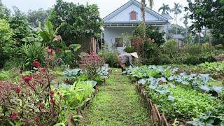 Life is slow in a country house, taking care of kittens, gardening, harvesting beans and cooking