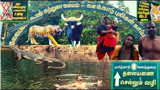 Kalakad Thalayanai | களக்காடு தலையணை புலிகள் காப்பகம் - முண்டந்துறை