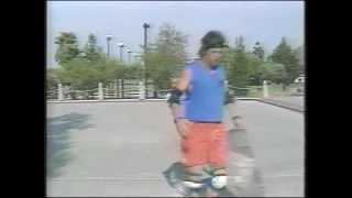 License to Skate: The Basics (1989, Pantheon Productions)