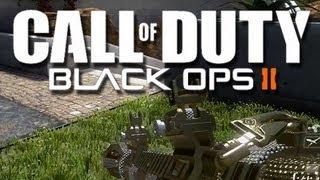 Black Ops 2 Funny Moments Montage! (Emblem Argument, Daycare Gaming, and More!)