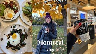 Montreal Fall Vlog (Bota Bota, Exploring Old Port, Cute Cafes, Best Toast!!)