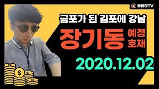 김포 장기동 금포가 된 김포에 강남 ~? 용팀장TV