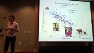 Ants, humans and the Brown lab, the metabolic ecology of social animals. Part 1 (Melanie Moses)