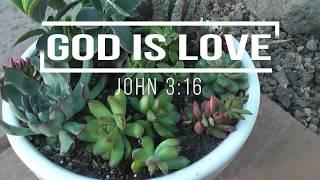 Pot With Me Succulent Video 2019 / Pot A Lowes Succulent Arrangement 2019