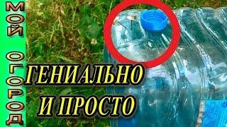 ЛУЧШИЙ капельный полив сделайте САМИ, повышаем эффективность!