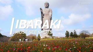 All about Ibaraki - Must see spots in Ibaraki | Japan Travel Guide