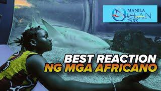 OCEAN PARK- BEST REACTION NG MGA AFRICANO