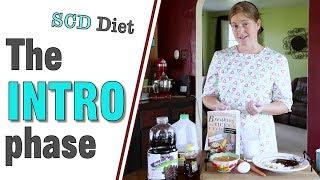 Introduction Phase - SCD Diet